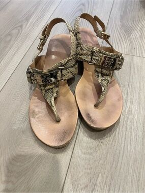Coach danielle Beige Snake-Print Thong Sandals with Gold Buckle